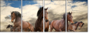 64762247