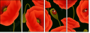 64821989