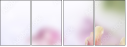 65612504