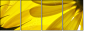 6606588