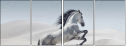 67039341