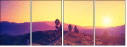 67236047