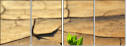 68740309