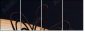 7023978