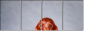 71939351