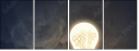 76193750
