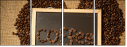 76232432