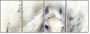 76649647
