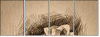 80258727