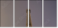 10023302