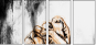 110688808