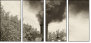 11284076