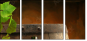 13276134