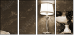 25666505