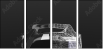 280625881