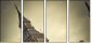 28559738