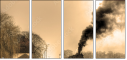 29517510