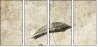 30497770