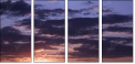 30561905