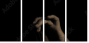 33360952