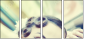 34322843