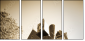 34463140