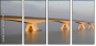 36477727