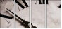 3950638