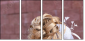 43471205