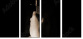 4763355