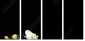 56375059