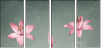 61954635