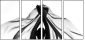 64353115