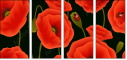 64821989