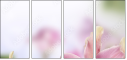 65612504