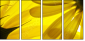 6606588