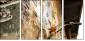 7183828
