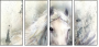 76649647