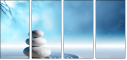 81478947