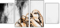 110688808