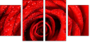 112923652