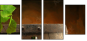 13276134
