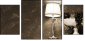 25666505