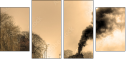 29517510