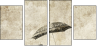30497770