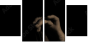 33360952