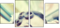 34322843