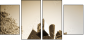 34463140