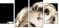 34938176