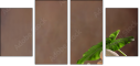 44772824